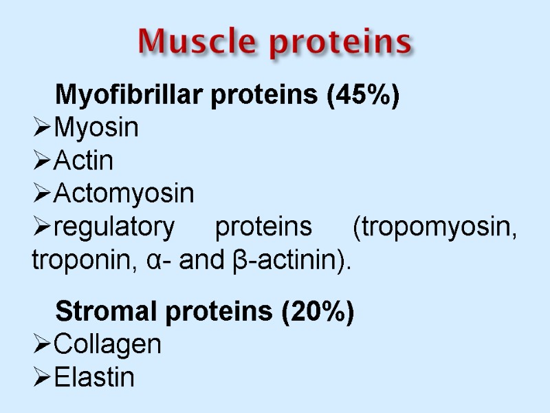 Myofibrillar proteins (45%) Myosin Actin Actomyosin regulatory proteins (tropomyosin, troponin, α- and β-actinin). Muscle